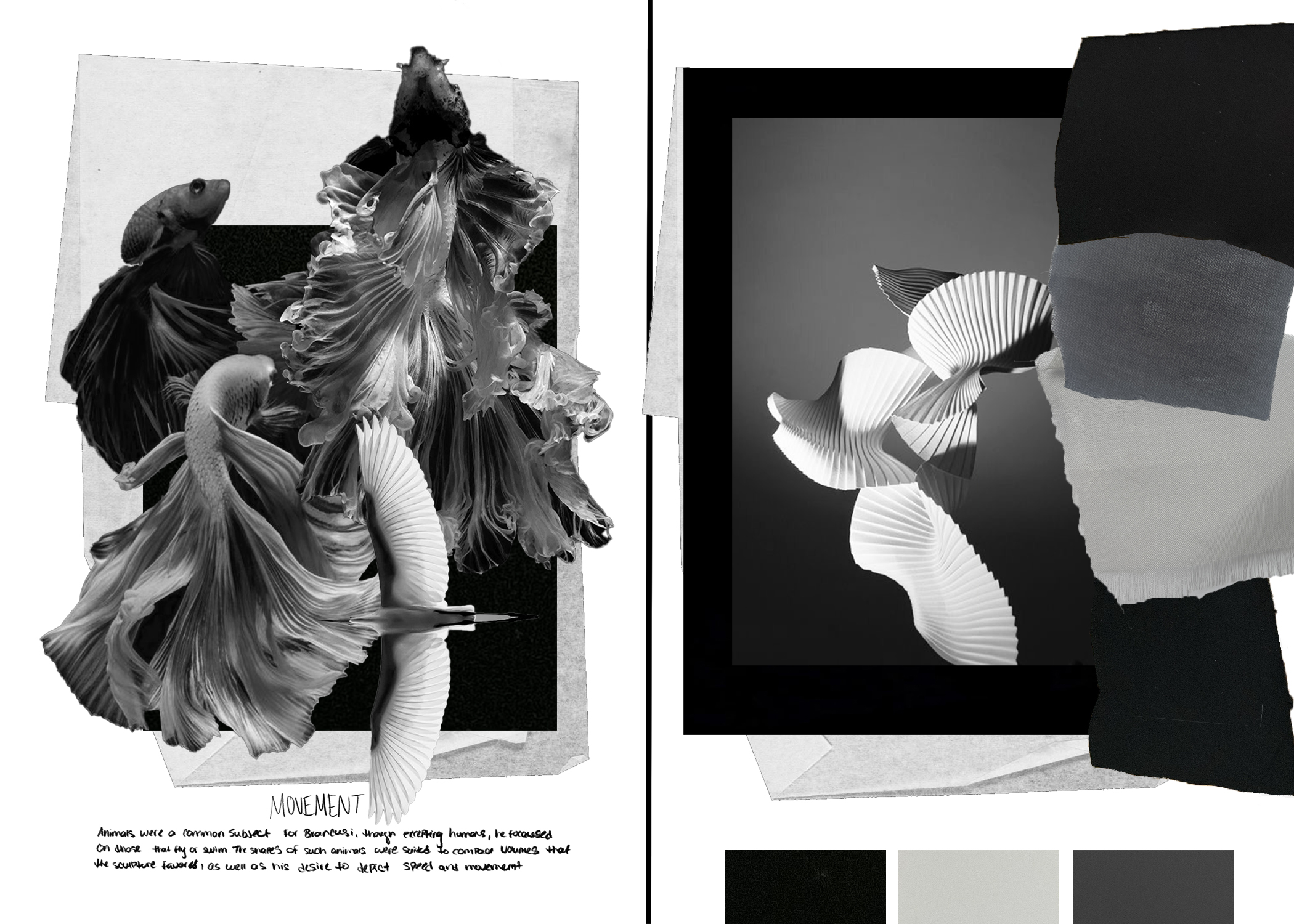 placeholder image wide